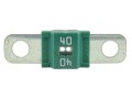 bezpiecznik-strip-fuse-40a.jpg.jpg