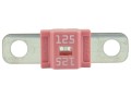 bezpiecznik-strip-fuse-125a-pec.jpg.jpg