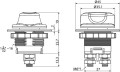 181687t.jpg